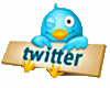 twitter account Twan de Vos